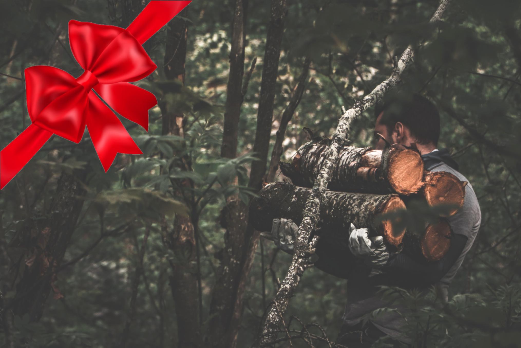 gift card sito dw foto