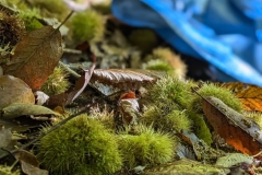 Corso-Survival-Avanzato-Pimonte-Lombardia-Discovery-Way-Sopravvivenza-4
